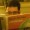 Brian Minter