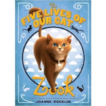 five_lives_of_our_cat_zook